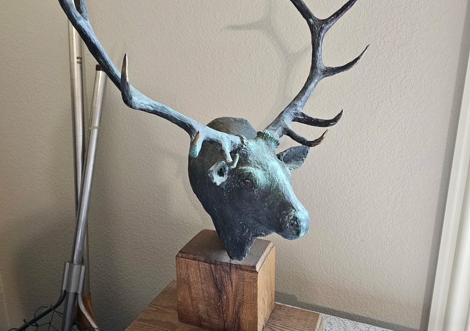Entire Home Estate Sale & House Is For Sale Too!
